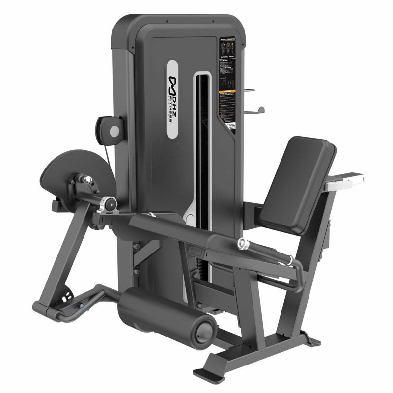 Leg Extension 109