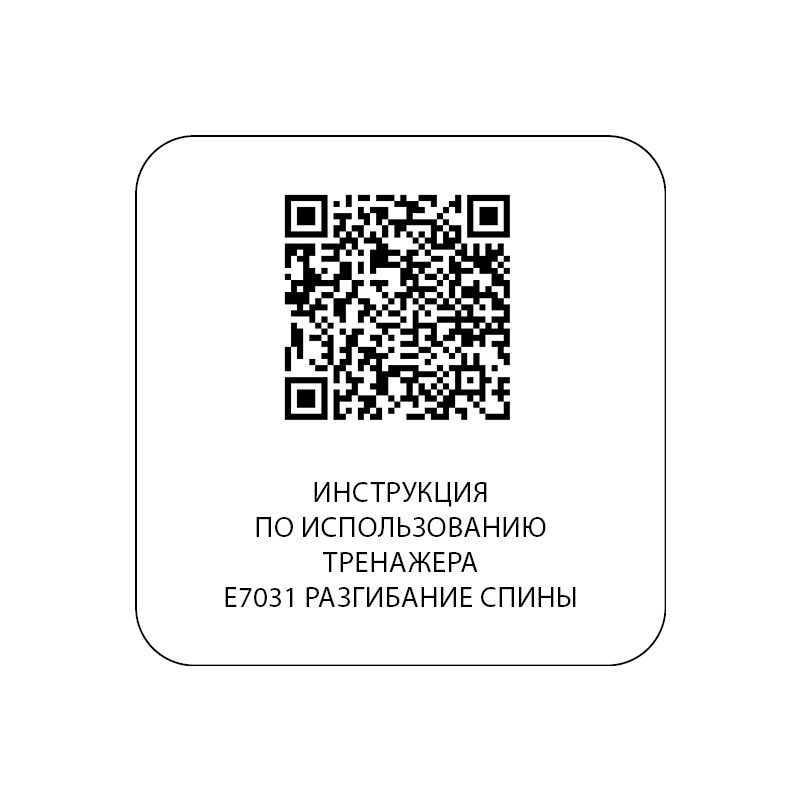 E7031 Разгибание спины. Стек 110 кг
