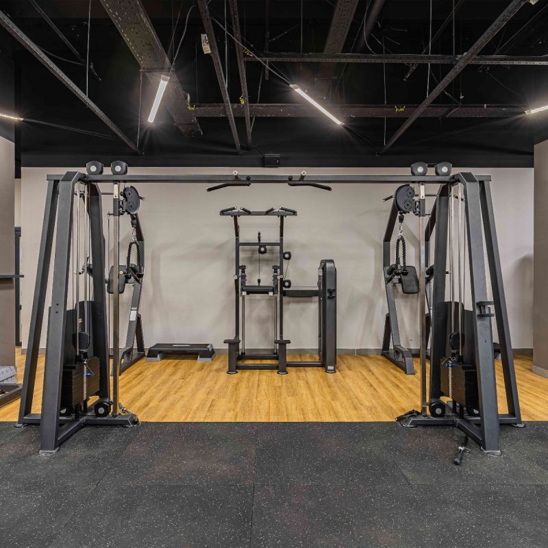 U3009D (E5009) Турник, брусья с противовесом. Стек 88 кг