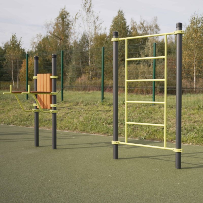 W202 GTO Гимнастический снаряд (шведская стенка) ZAVODSPORTA