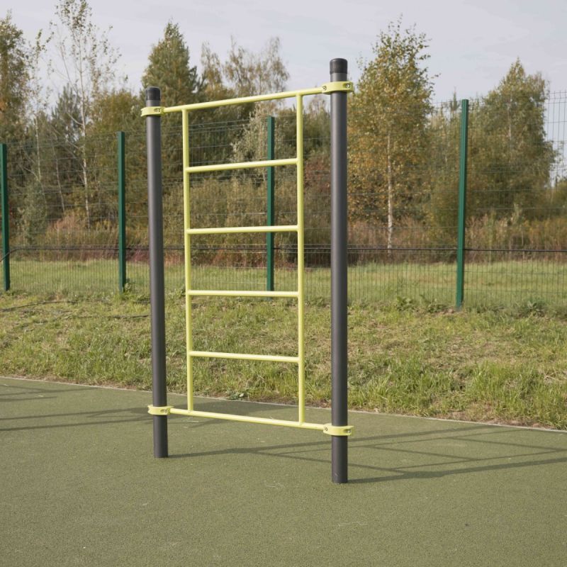 W202 GTO Гимнастический снаряд (шведская стенка) ZAVODSPORTA