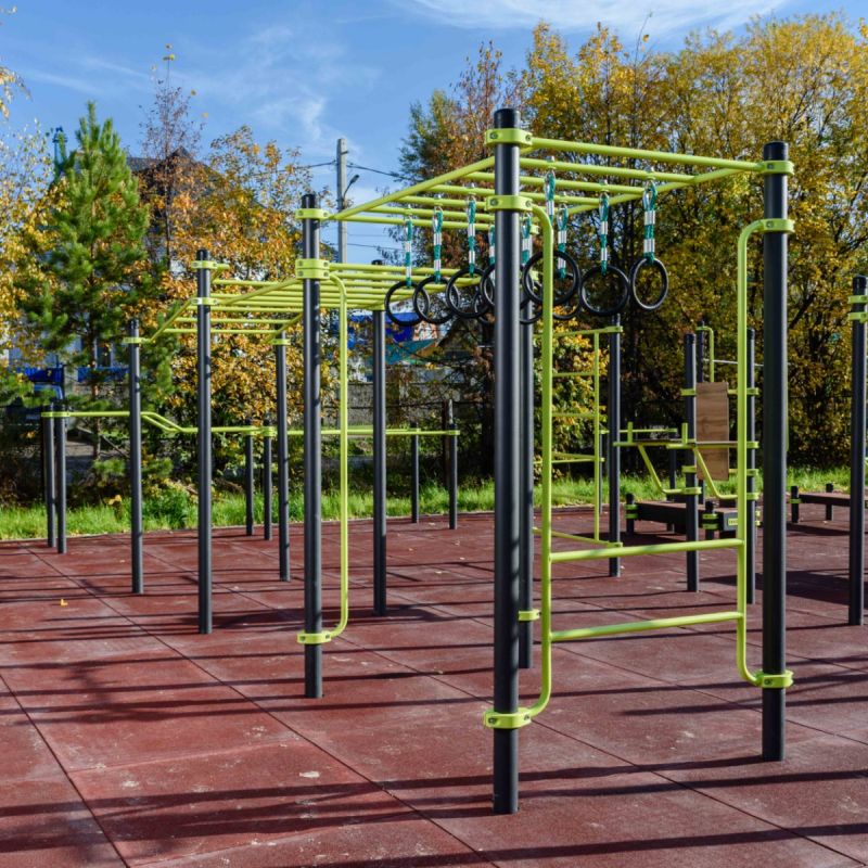 W358 GTO Рукоход с изменением высоты с подвижными кольцами (разноуровневый) ZAVODSPORTA