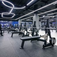 T933 Скамья-стойка для жима штанги лежа со страховочными упорами
