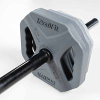 Штанга для аэробики и комплект дисков Прогресс (серая, 1,25-2,5-5 кг) PROFI-FIT