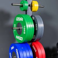 Диск профессиональный обрезиненный (цветной) D51 мм PROFI-FIT 1 кг