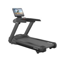 Профессиональная беговая дорожка SHUA SH-T8919T (15,6