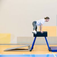 Мостик гимнастический подкидной ZAVODSPORTA