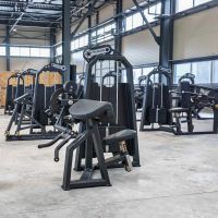 A2030 Бицепс-машина сидя. Стек 100 кг