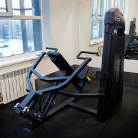 E3006 (U3006C) Жим от плеч (Shoulder Press). Стек 109 кг.