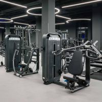 E7008 Жим от груди вертикальный. Стек 110 кг