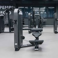 E7031 Разгибание спины. Стек 110 кг