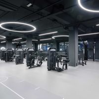 E7031 Разгибание спины. Стек 110 кг