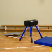 Козел гимнастический переменной высоты ZAVODSPORTA