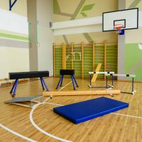 Конь гимнастический прыжковый (переменной высоты) ZAVODSPORTA