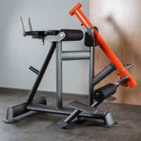 T924 Обратная гиперэкстензия