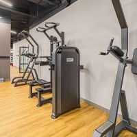 U3009D (E5009) Турник, брусья с противовесом. Стек 88 кг