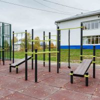 W261 Воркаут (3 турника, 2 скамьи для пресса, брусья, швед. стенка, кольца, канат) ZAVODSPORTA