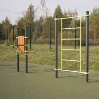 W302 GTO Гимнастический снаряд (шведская стенка) ZAVODSPORTA