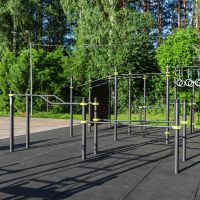W360 GTO Брусья разноуровневые изогнутые (подходит ОВЗ) ZAVODSPORTA
